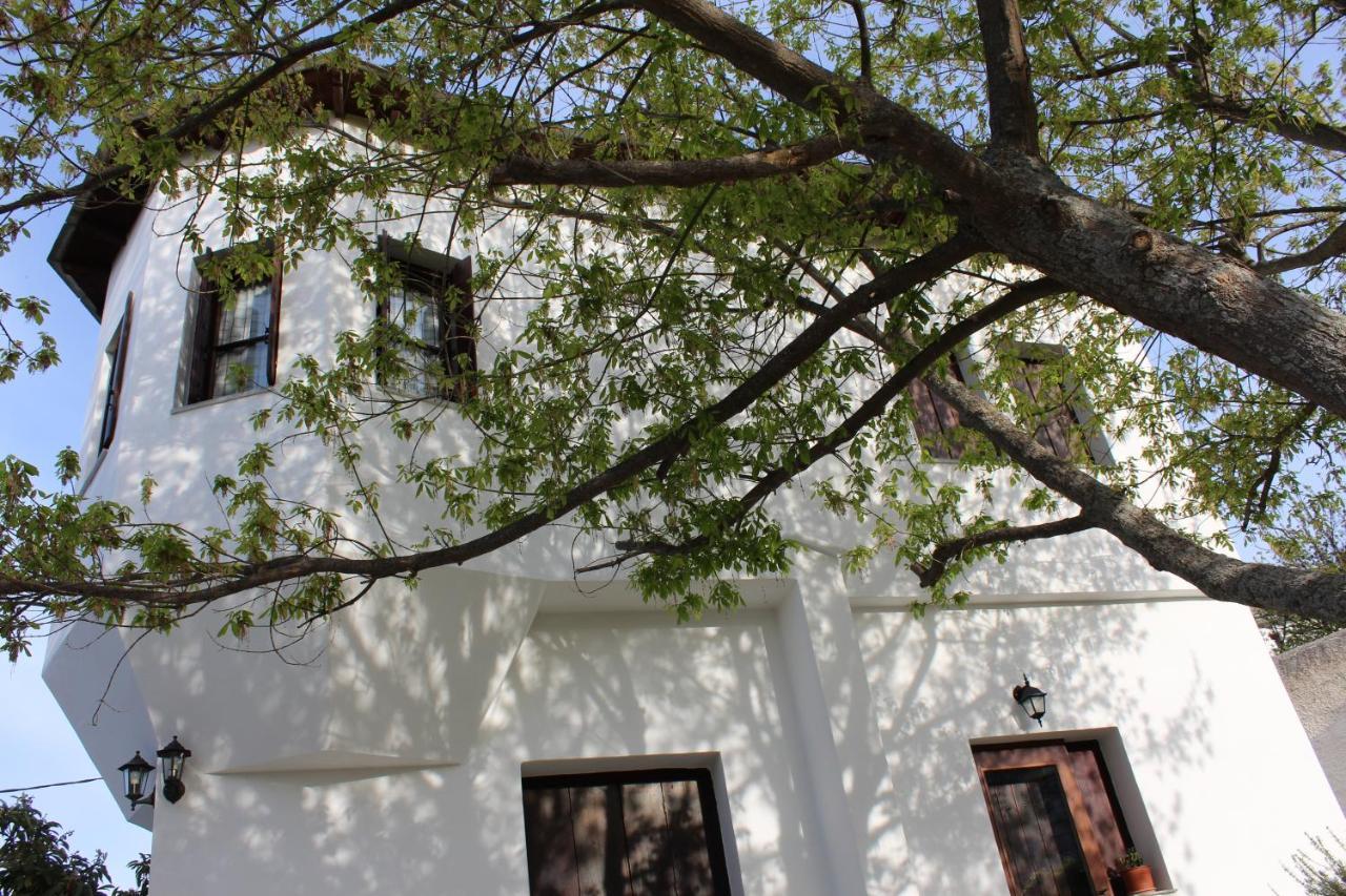 Ferienwohnung Centaurs View Portariá Exterior foto